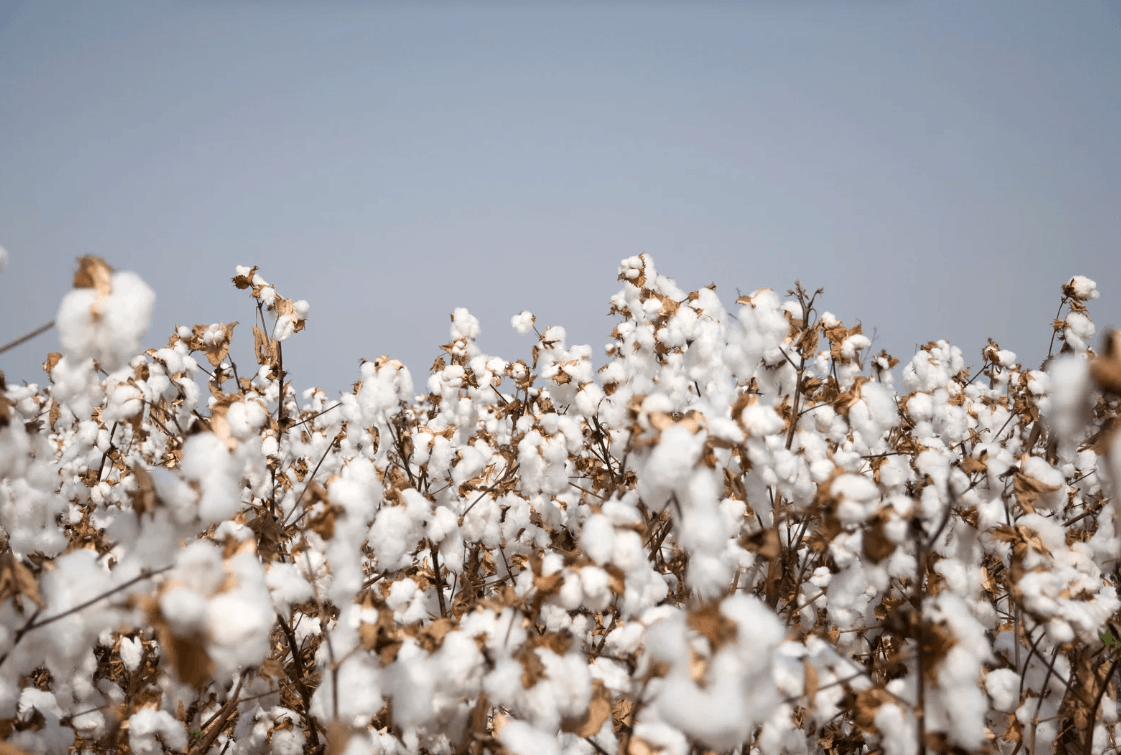 Why Ethical Fashion Production Includes Bangladesh