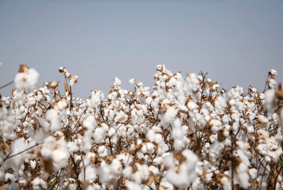 Why Ethical Fashion Production Includes Bangladesh